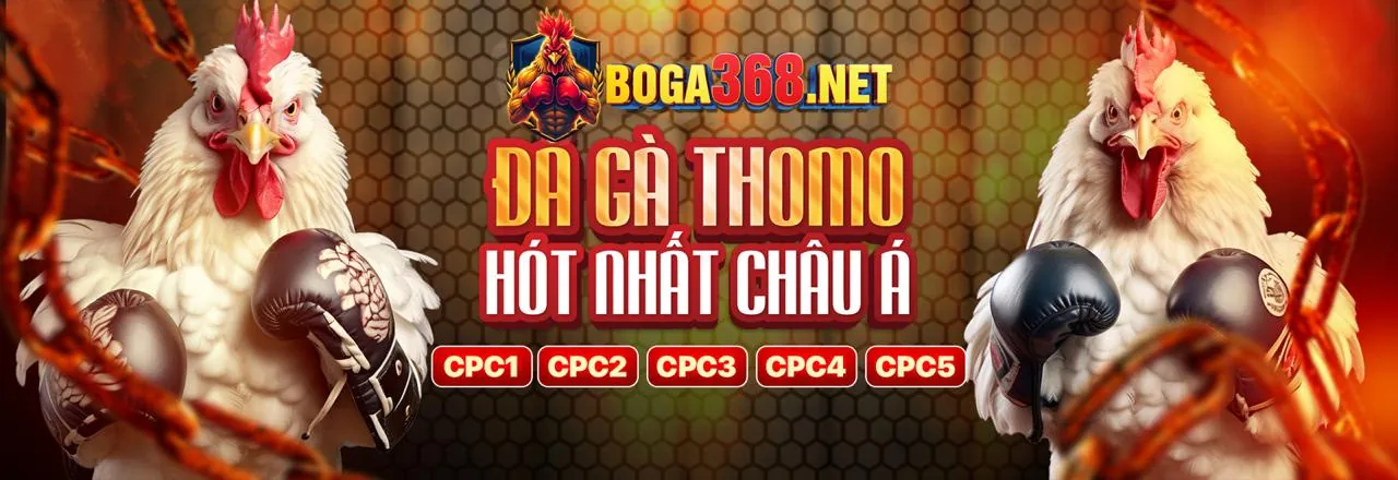 Giao dịch nạp rút tiền s6666
